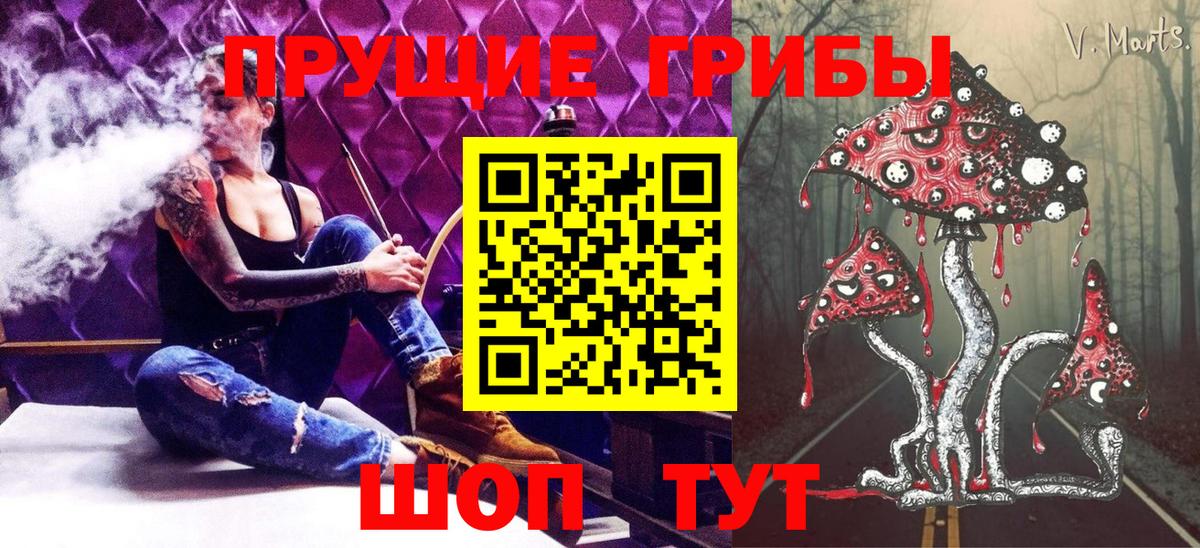 Псилоцибиновые грибы Cubensis Свободный